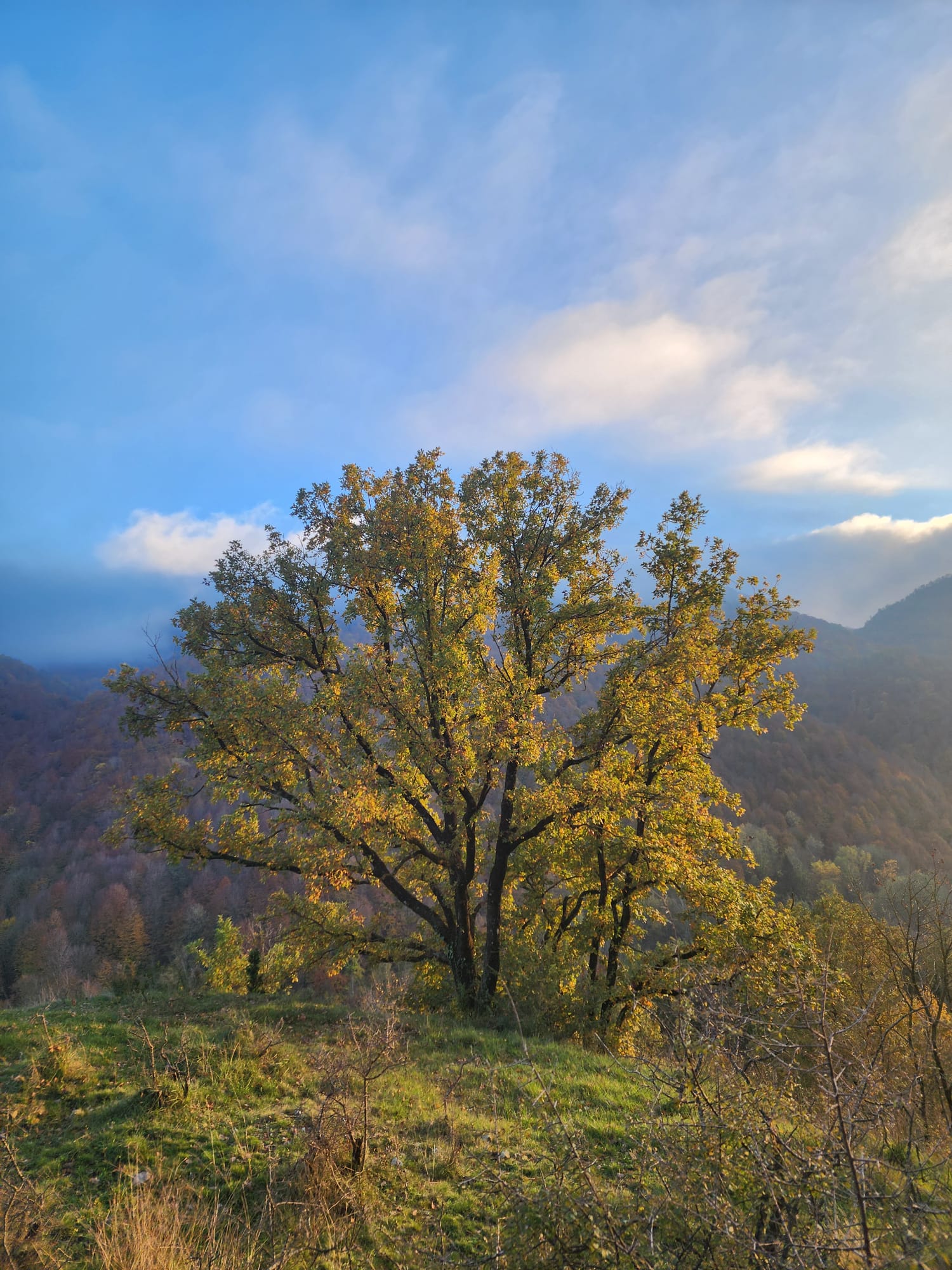 Actividades en Mas Besaura